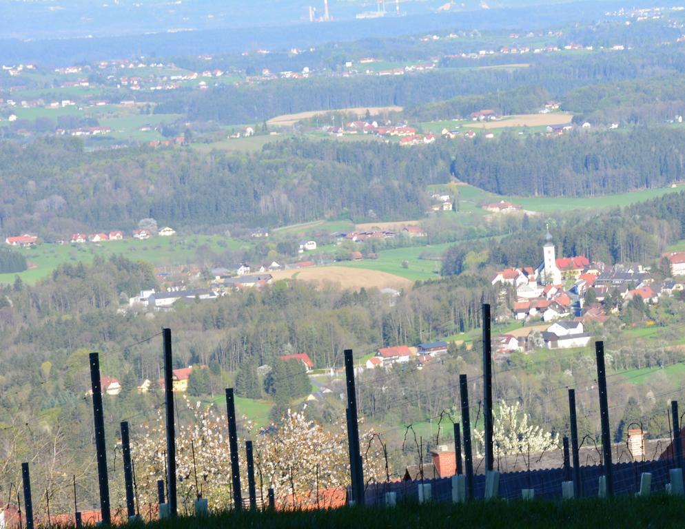 GreisdorfWeingut Seiner Vlg. Kraxner别墅 外观 照片